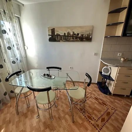 Large Centre Apartment Podgorica