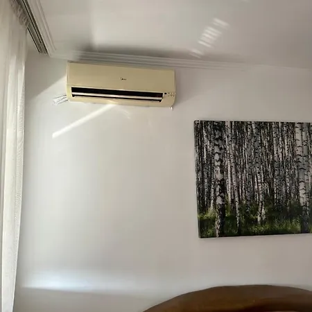 Large Centre Apartman *