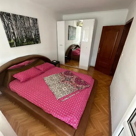 Large Centre 公寓 波德戈里察